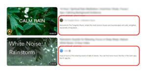 YouTube snippet